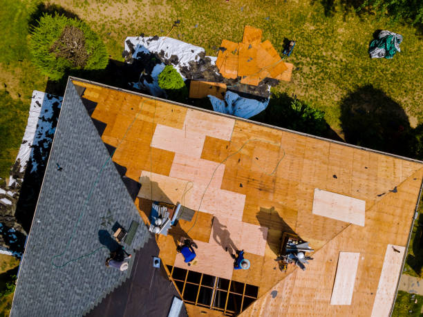 Best Sealant for Roof  in Urania, LA