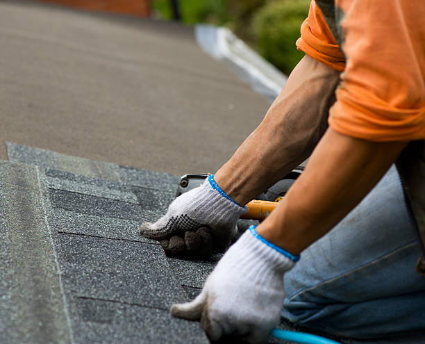 Best Shingle Roofing Installation  in Urania, LA