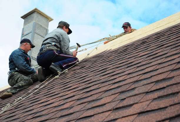 Best Best Roofing Contractors  in Urania, LA